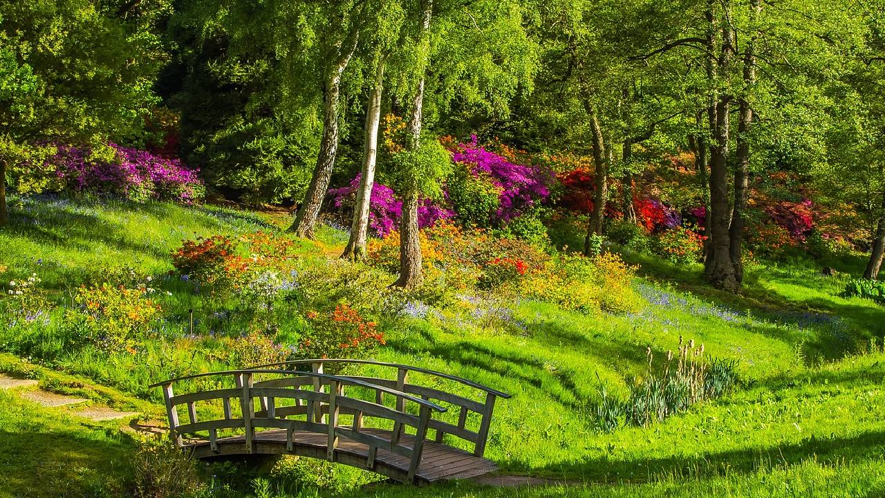 Usando tecnología Esri y una Enterprise GDB multiusuario con versionado, se crean dos aplicaciones Web para la gestión y análisis de los datos recogidos en la GDB sin necesidad de Arcgis Desktop. 
								La aplicación permite un control sobre los daños en infraestructuras y estaciones de vigilancia de incendios. Tambien pemite la comunicación entre usuarios y los gestores del parque mediante la porpia plataforma.

								Pose funcionalidades únicas como el cálculo de rutas entre dos puntos donde no existe un camino previo creandose este.
								Aunque el poryecto esta basado en tecnología Esri se puede desarrollar con OpenSource. (Para mas información contactar)